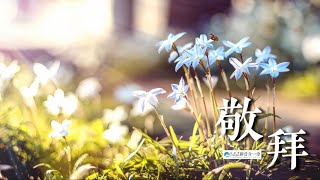 112年11月26日新營合一堂主日敬拜直播