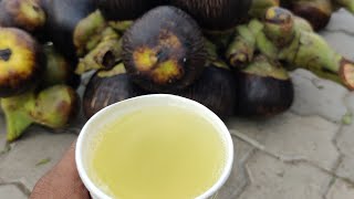 நுங்கு பதனிர் || Nungu Pathaneer || Ice Apple Juice || Chennai Street Food | Summer Season Food Soru