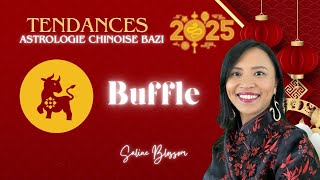 Nouvel An Chinois 2025 | Astrologie BaZi | Serpent de Bois | Signe du Buffle 🐃| Saline Blossom