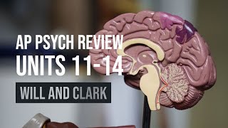 AP Psychology | Myers' Units 11-14 AP Exam Review
