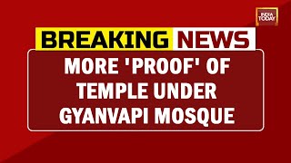 More 'Proof' Of Temple Under Gyanvapi Mosque, Historian Reveals Shiva's Bull Facing Gyanvapi Mosque