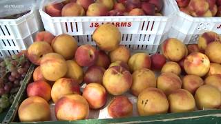 Sacramento area farmers markets taking precautions to fight against foreign fruit fly invasion