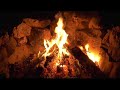 숲속 캠핑 asmr 🌲🔥 crackling fire u0026 nature sounds 장작 타는 밤의 힐링 연속 재생