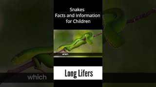 Long Lifers - Snakes Facts & Information for Kids #snake #snakes #facts #kids #snakerescue