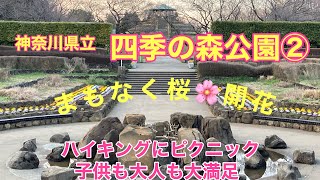 神奈川県立「四季の森公園」②