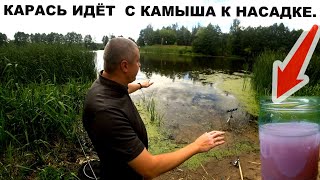 Вот она нашумевшая ПЕРЦОВАЯ насадка - убийца крупного карася карпа и линя летом.