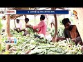 tobacco farming పొగాకు సాగుతో లాభాలు ఆర్జిస్తున్న రైతు matti manishi 10tv news