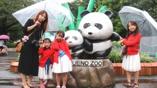 【雨ダヨ東京！4/4】雨ながら上野動物園を満喫！そしてサヨナラ東京！三姉妹