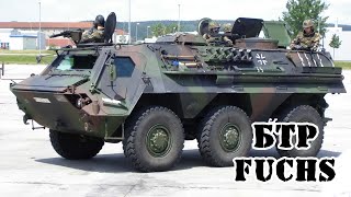 Немецкий БТР Fuchs || Обзор