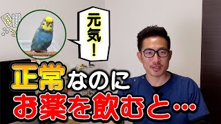 【質問コーナー】エレンタールをお湯と一緒に飲ませたら3g太った、うさぎ生後2ヶ月のようすは問題ないですか？カナリヤたまに口を開けます、ハムスターを診てくれる動物病院が少ない理由、などにお答えしました