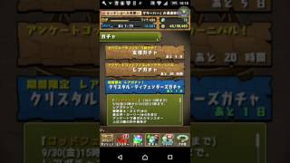 【パズドラ】アンケゴッドフェス2回引いたらヤツが降臨した…！！！