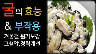 굴의 놀라운 효능 10가지와 섭취시 주의사항, 해산물의 으뜸 영양소! 겨울제철인 굴을 이렇게 드세요.