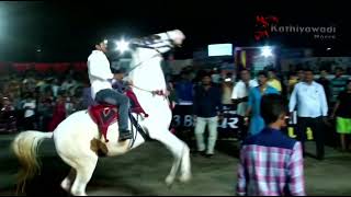 Ramku bhai Der - Kathiyawadi horse video