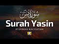 Surah Yasin (Yaseen) سورة يس | Relaxing heart touching voice | Shiekh Recitation Tv