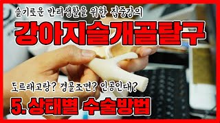 우리 강아지에게 맞는 슬개골탈구수술법은?