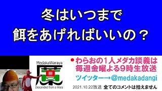 メダカ冬の餌やり いつまであげればいいの 滋賀県のメダカ販売店 めだか藁屋 高木正臣