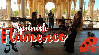 AMAZING FLAMENCO DANCE & SPANISH GUITAR IN SEVILLE | Plaza de España, Sevilla | Andalusia, Spain