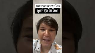 กระดานหมากรุกไทยที่ถูกที่สุดในโลก #หมากรุกไทย #ฆราวาสผู้ใฝ่รู้ #กระดานหมากรุกไทย