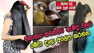 ස්නානය කරද්දී ෂැම්පු වලට මේ ද්‍රව්‍ය දමා ආලේප කරන්න | How To Wash Your Hair Properly With Shampoo