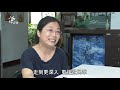 【人蛇衝突】與蛇為鄰｜解開對蛇的誤解與恐懼 我們的島 第1071集 2020 09 07