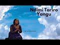 Ndimi Tariro Yangu – Zimbabwe Shona Gospel Worship | Taanashe Washe