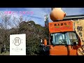 河津桜まつり 2024.2.14 満開「日中・夕方のライトアップ」 河津桜まつり＃河津桜