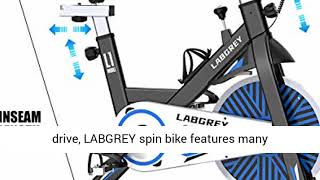 LABGREY Exercise Bike Indoor Cycling Bike Stationary Cycle Bike Heart Rate Sensor & Comfortable