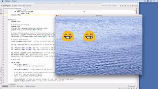 PyGame draw cycle, flip, sprites, and dirty sprites for speed