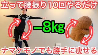 【60代70代向け】ナマケモノでも痩せる！立って腰振り10回で勝手に痩せていく！