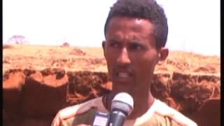 በድንጋይ ማዉጣትና በከብት ማድለብ የተደራጁ ወጣቶች