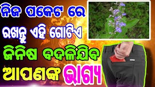 ନିଜ ପକେଟ ରେ ରଖନ୍ତୁ ୨ ଟି ଜିନିଷ ବଦଳିଯିବ ଆପଣଙ୍କ ଭାଗ୍ୟ |-#vastushastra