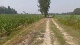 45 bigha kirshi land in afzalgarh Dist bijnor up contact 88650 61750