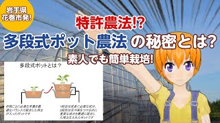 【ncxx farm】誰でも栽培できる特許農法！多段式ポット農法って何？