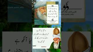 Maulana Jalaluddin Rumi  #shorts