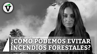 ¿Cómo podemos evitar que se produzcan los incendios forestales?