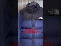 the north face 1996 coat