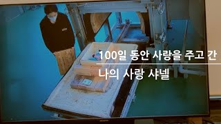 쩡남매의 476번째 이야기~~나의 사랑 샤넬이 별이되어 무지개 다리를 건너던 날