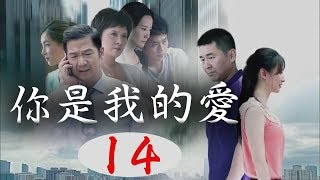 你是我的愛 14 經典家庭倫理情感電視連續劇【主演：張國立 陳建斌 鄧婕】中產家庭的情感危機