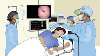 Endoscopy Technology Theory - Lesson 1 - Endoscopy Team Work -