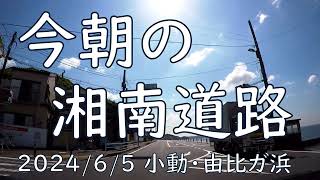 2024 6 5今朝のR１３４（小動から由比ガ浜）