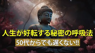 🔴人生が好転する秘密の呼吸法｜ブッダの教え