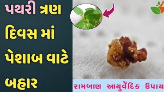 પથરી માત્ર ત્રણ દિવસ માં પેશાબ વાટે બહાર| પથરી ની આયુર્વેદિક ઘરેલુ દવા |Home remedy for kidney stone