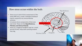 Creating an optimal learning environment, through managing stress.