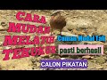 CARA MELATIH PIKATAN TEKUKUR