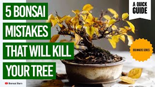 “5 Bonsai Mistakes That Will Kill Your Tree” : “Beginner Bonsai Care Tips”