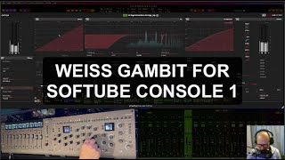 SOFTUBE WEISS GAMBIT for console 1 In Logic Pro