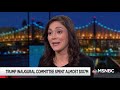 President Trump Inauguration Finances Under Criminal Investigation WSJ  Rachel Maddow  MSNBC