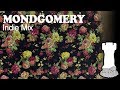 Mondgomery - Indie Mix