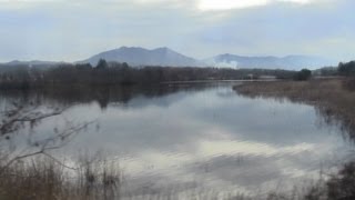 2012年大晦日 東京近郊区間130円最長大回り乗車の風景（2）水戸線