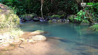 新竹縣北埔水岸野溪露營地土地756坪售價990萬